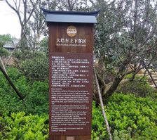 東方鹽湖城度假區(qū)